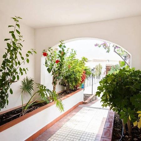 1 Bedroom Apartment For 4 People In Tenerife Costa Adeje  Ngoại thất bức ảnh